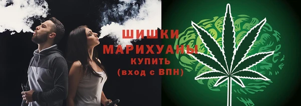 спайс Арсеньев