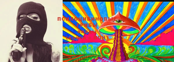 спайс Арсеньев