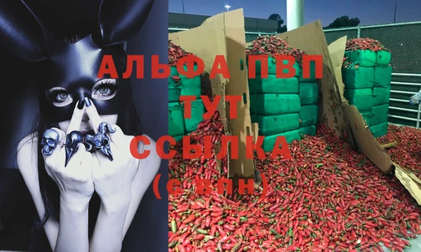 стаф Армянск